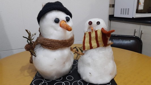 Imperdible: "Tito", el muñeco de nieve cordobés que consiguió novia tras 14 años