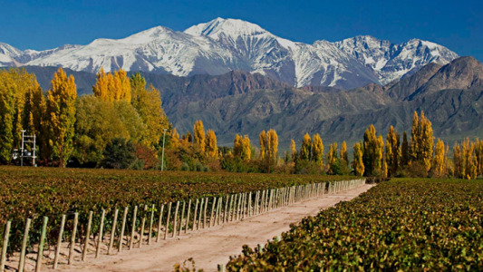 Deciden esta semana si habilitan la temporada turística de invierno