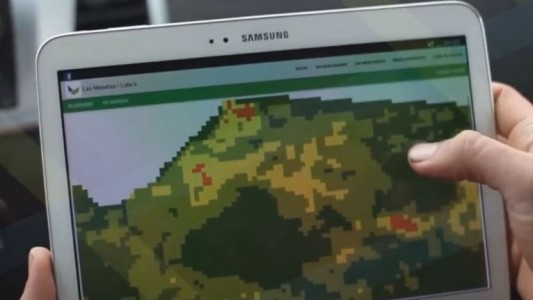 Una plataforma digital puede medir cuánto contaminamos y cómo compensarlo