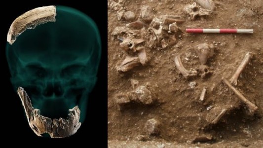 Investigadores israelíes hallaron restos de una nueva especie de hombre prehistórico