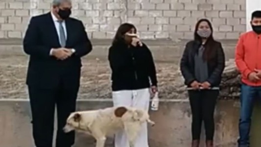 Insólito: un perro orinó a una intendenta durante un acto en Jujuy
