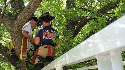 Bomberos rescatan a un gato y a su dueño de un árbol