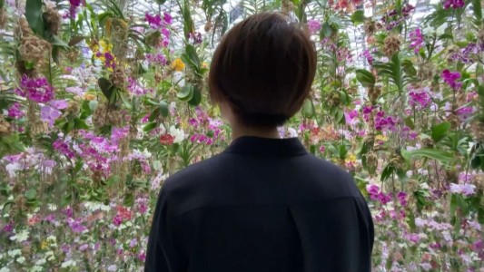 Así es el impactante jardín de flores colgantes de Tokio