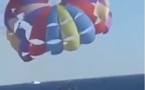 Tiburón salta del agua y muerde en el aire a un hombre que practicaba "parasailing"