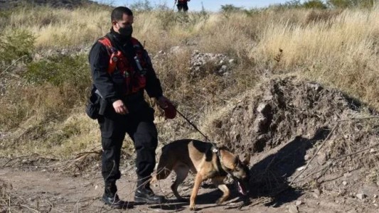 San Luis: continúan los rastrillajes en búsqueda de Guadalupe Lucero