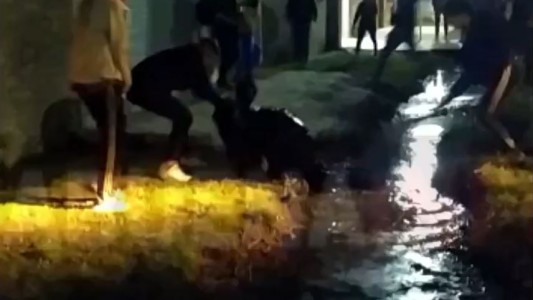 Fiesta clandestina en Berisso termina con peleas en el barro y corridas