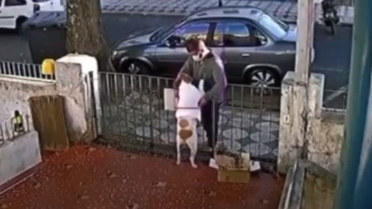 Video: se acercó a acariciar a un perro y le robó el chaleco