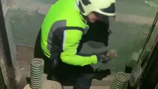 Así rescataron los bomberos a un gatito que cayó por el hueco de un ascensor