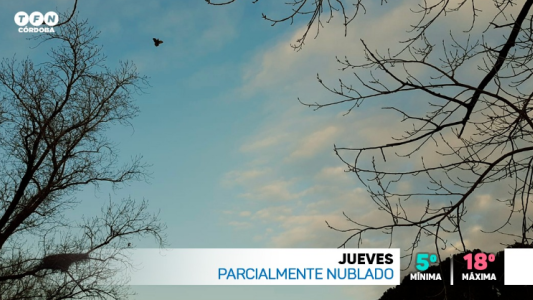 Tiempo seco, fresco por la mañana, máxima de 18°