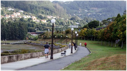 Video: brutal paliza y humillación a un nene con autismo