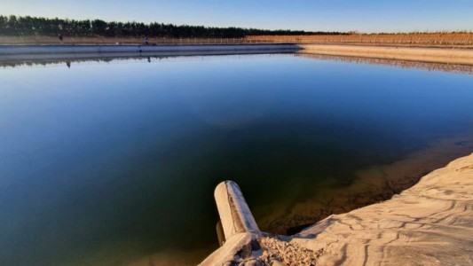 Hallan muerta a una pareja dentro de un piletón de riego: habrían intentado rescatar a un perro