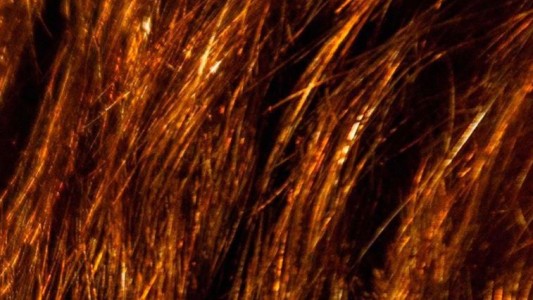 La extraña imagen con la que Juntos por el Cambio lanzó la candidatura de Santilli en la provincia de Buenos Aires