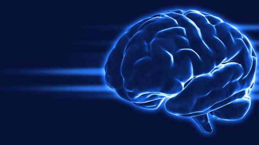 Día Mundial del Cerebro: "Hay que ejercitarlo, leer, estudiar, pensar"