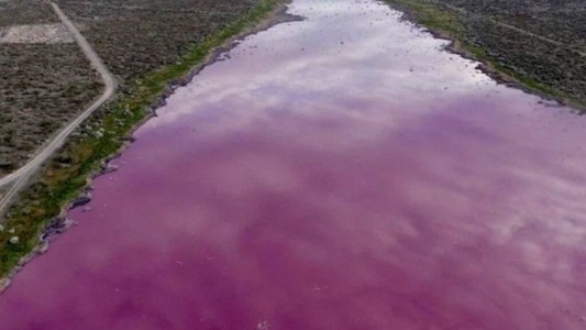 Alarma en Trelew por una laguna que se tiño de rosa