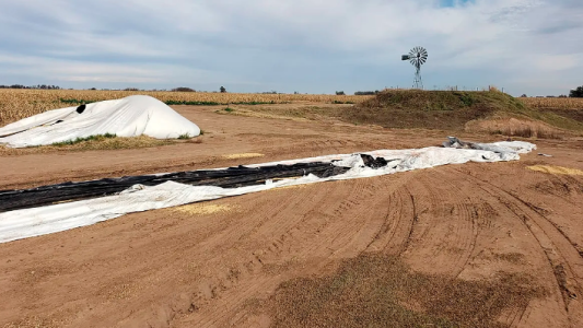Cayó banda que había robado 300 toneladas de soja
