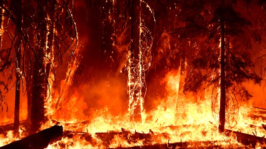 Bomberos de California enfrentan el mayor incendio forestal de Estados Unidos que ya genera su propio clima