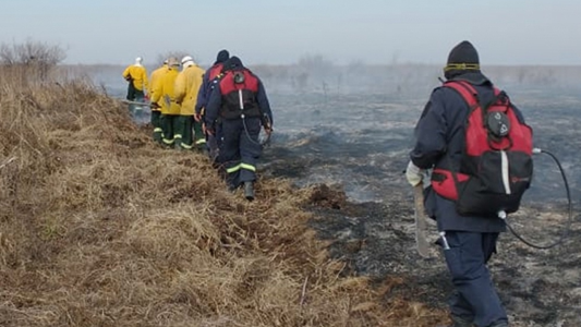 Incendios en el delta del Paraná: un problema recurrente sin solución a la vista