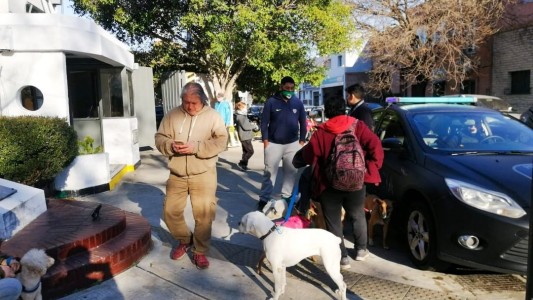 Imágenes sensibles: un automovilista atropelló a un paseador y mató a cuatro perros