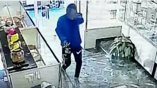 Le tiró el mate al ladrón para defenderse: "Terminamos llorando y temblando"