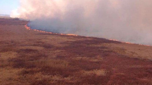 Realizan operativos aéreos y náuticos por nuevos incendios en las islas del delta del Paraná