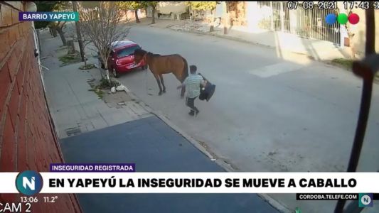 Inseguridad registrada en Córdoba: Robó y huyó en un caballo