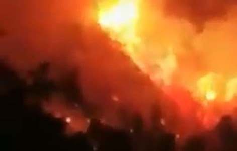 Más de 40 muertos por los incendios que arrasan norte de Argelia