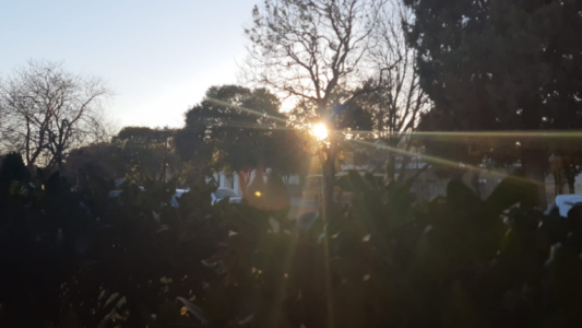 Frío por la mañana, ascenso de temperatura por la tarde, máxima de 19°