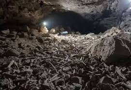 Descubrieron una cueva de hienas con miles de huesos humanos