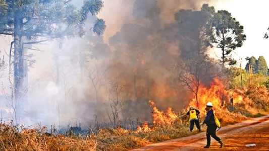 Se incendiaron unas diez hectáreas del parque Provincial Las Araucarias en Misiones