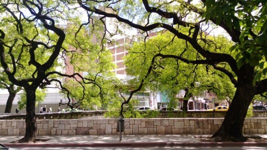 Domingo primaveral en Córdoba con una máxima de 23 grados