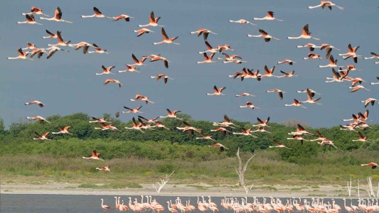 Este miércoles la Unicameral debatirá la creación del Parque Nacional Ansenuza