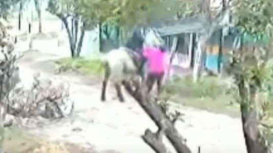 Video: al estilo motochorro, robó sin bajarse del caballo