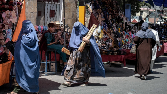 Afganistán, Talibanes hacen realidad presagios trágicos: matan a músico e impiden trabajar a periodistas mujeres