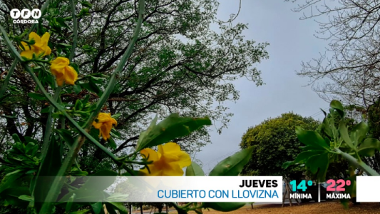 Inestable, mejorando, ascenso de temperatura