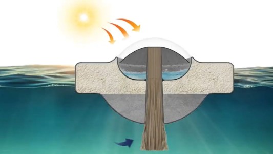 Estudiantes inventan un dispositivo que hace que el agua del océano sea potable
