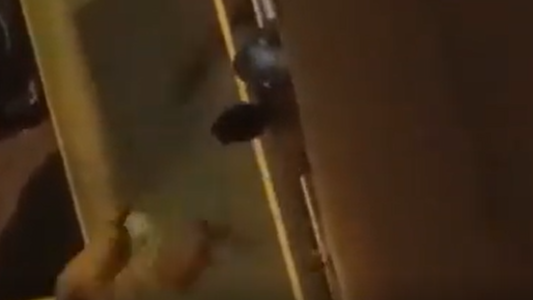 Tres detenidos en España por arrojar a su compañero de piso por la ventana