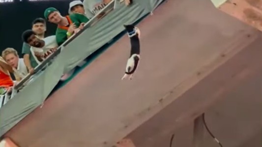VIDEO: así salvaron la vida de un gato que cayó desde lo más alto de la tribuna de un estadio