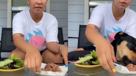 Furor por el error de una tiktoker que experimentó con su mascota: "Mi perra es vegetariana por elección"