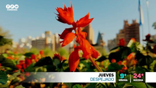 Fresco, menos nubes, máxima de 9°