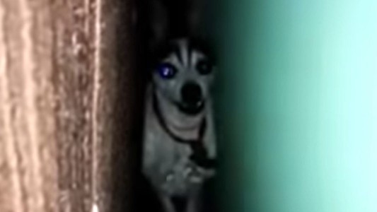 “Hola Juan Carlos”: la historia detrás del viral que la rompe en redes sociales