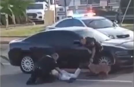 Polémica por un perro policía que mordió a un un hombre durante su detención