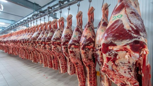 El gobierno flexibilizó las restricciones de exportación de carne a China