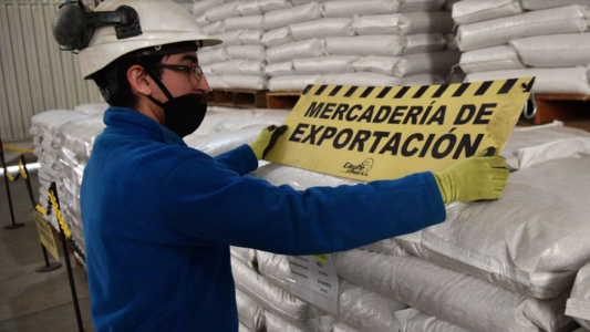 Legumbres cordobesas: en cinco años se cuadruplicó la exportación de estas “specialitys”