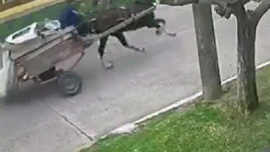 Policía persigue a roba cables que huyen en un carro tirado a caballos