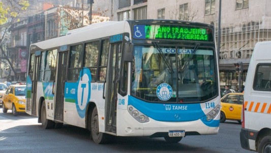 Desde este viernes Tamse y Coniferal se harán cargo de los corredores 30 y 80: ¿Qué pasará con las paradas?