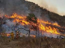 Córdoba, Catamarca, La Rioja, Jujuy, San Luis y Tierra del Fuego registran incendios forestales