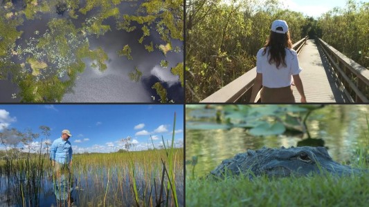 El cambio climático amenaza el futuro del humedal más grande de EE UU