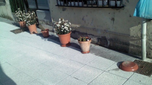 "Principio de insignificancia": sobreseyeron a una mujer en situación vulnerable que robó cuatro macetas