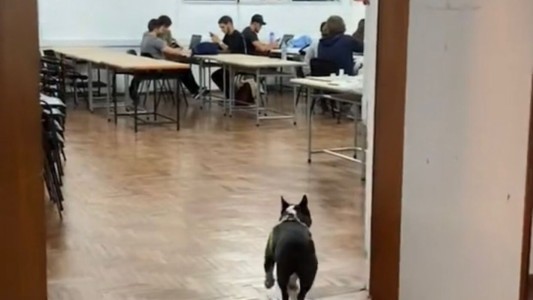 No tenía con quién dejar a su perro y lo llevó a la Universidad