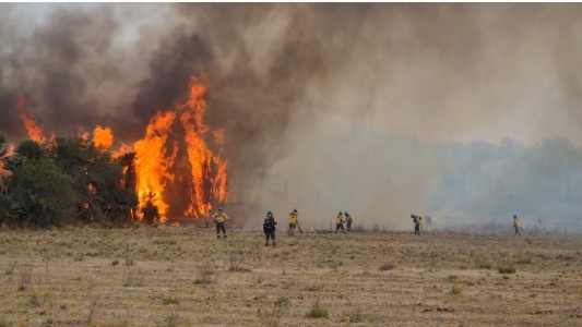 Incendios en Córdoba: los lugareños se unen a los bomberos para combatir el fuego